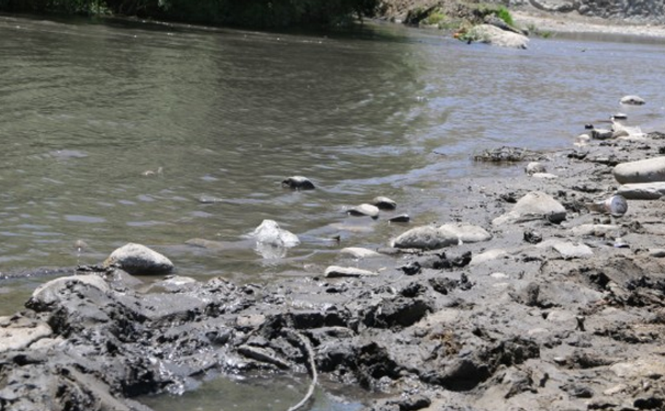 Şırnak’taki su kirliliği Meclis gündeminde