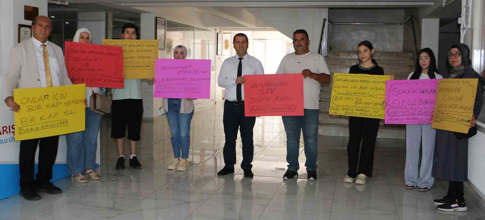 Diyarbakır’da öğrencilerden sokak hayvanlarına sıcak hava duyarlılığı  1