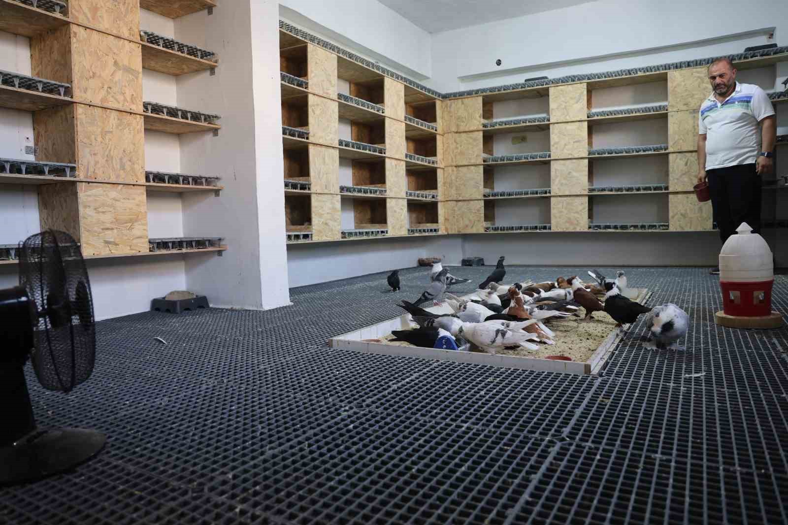Diyarbakır’da güvercinlere 5 yıldızlı yaz konforu 1