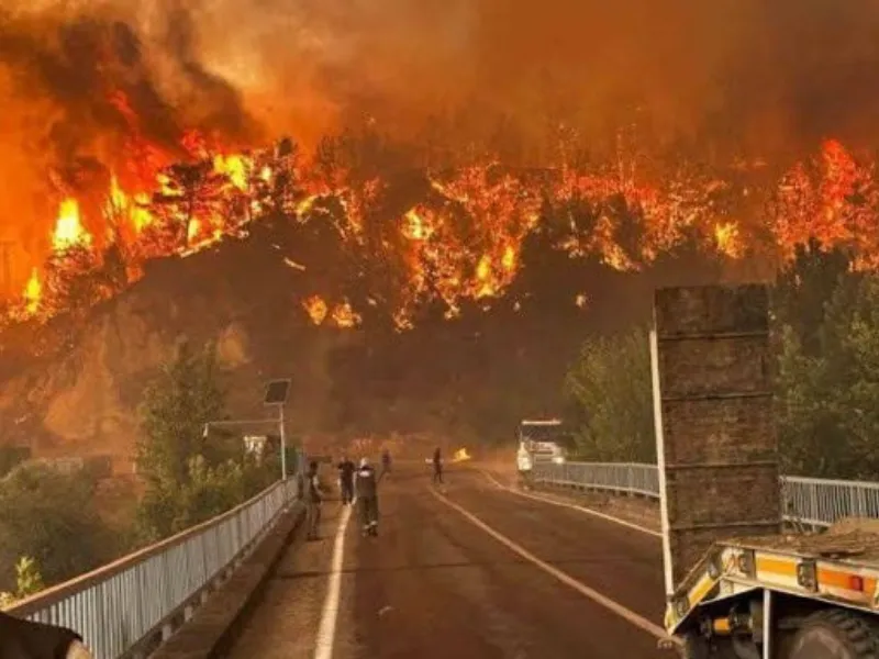 Diyarbakır, Bursa ve Karabük’te orman yangınları sürüyor 3