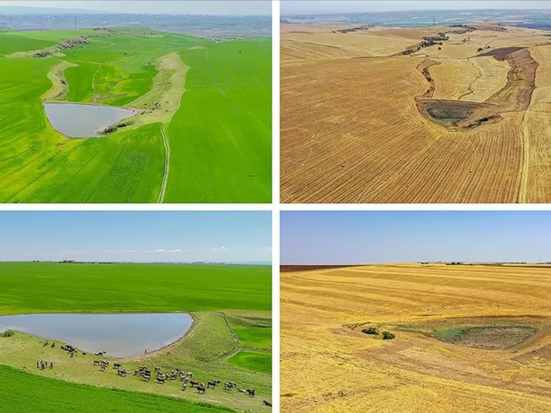 Diyarbakirda Ciftciler Kuraklik Nedeniyle Destek Bekliyor 2