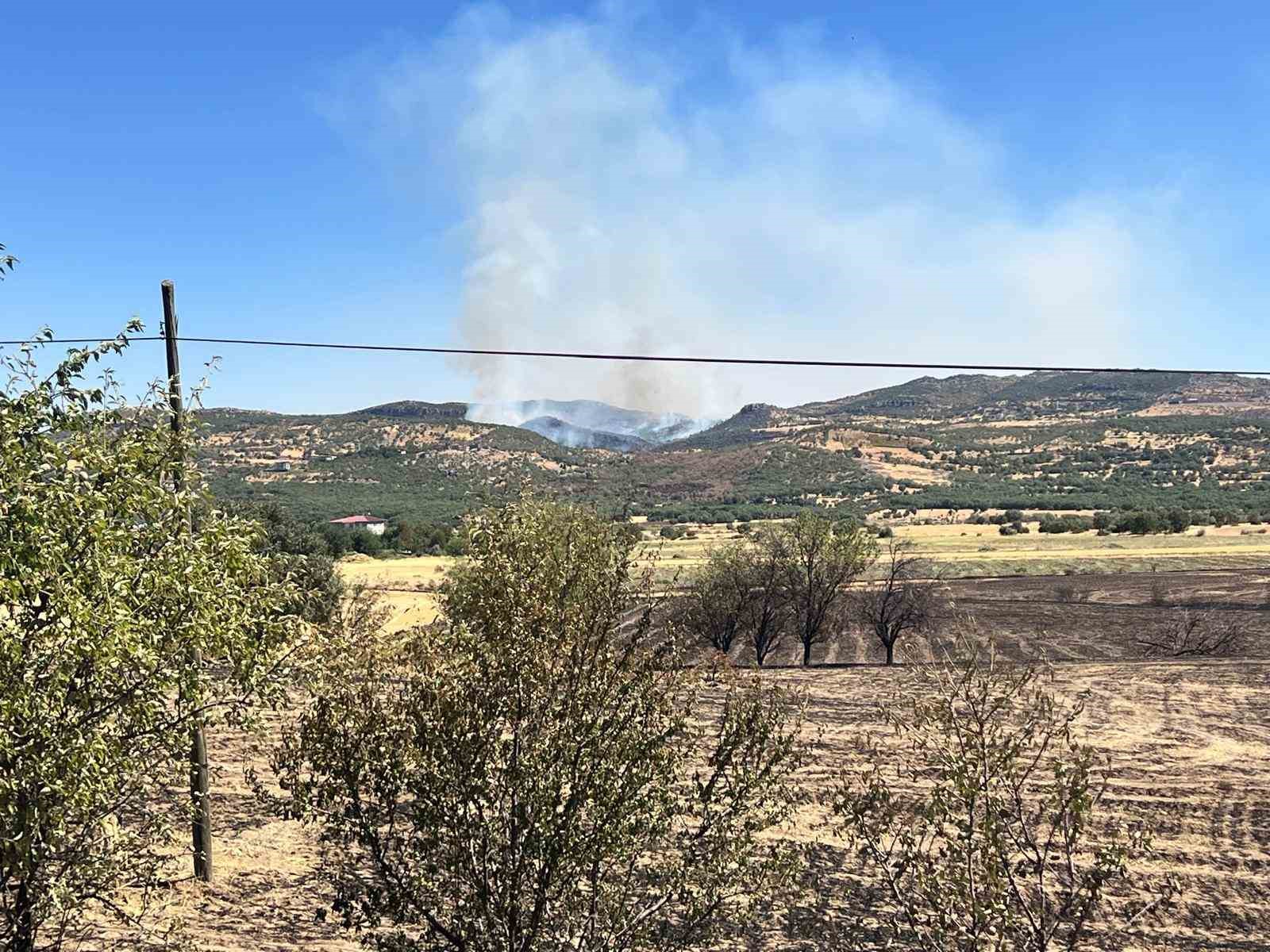 Diyarbakır Hani’de orman yangını: Yerleşim yerlerinde tedbir-2