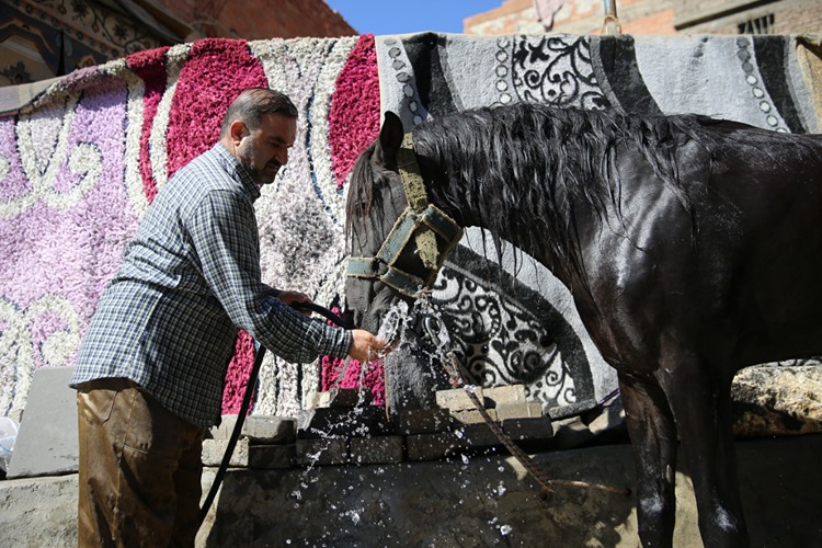 Diyarbakır'ın "Buzcu Babası "at sırtında serinlik taşıyor-4