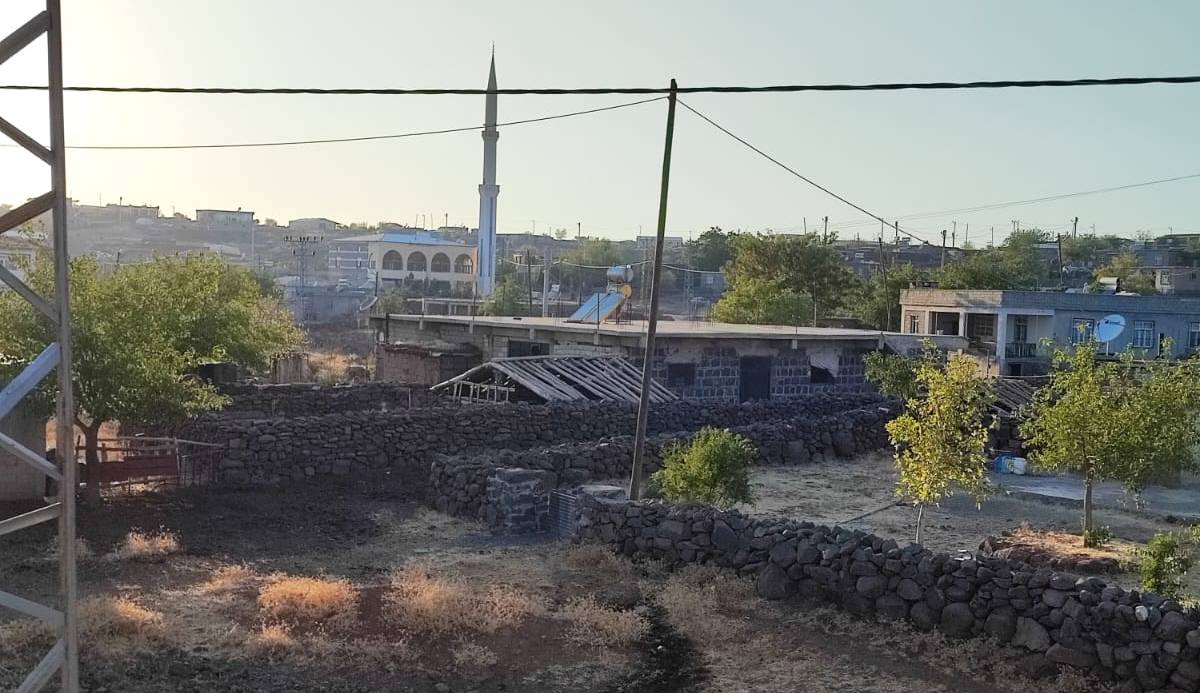 Diyarbakır’da köy halkı köpek sürüsünden şikâyetçi-1