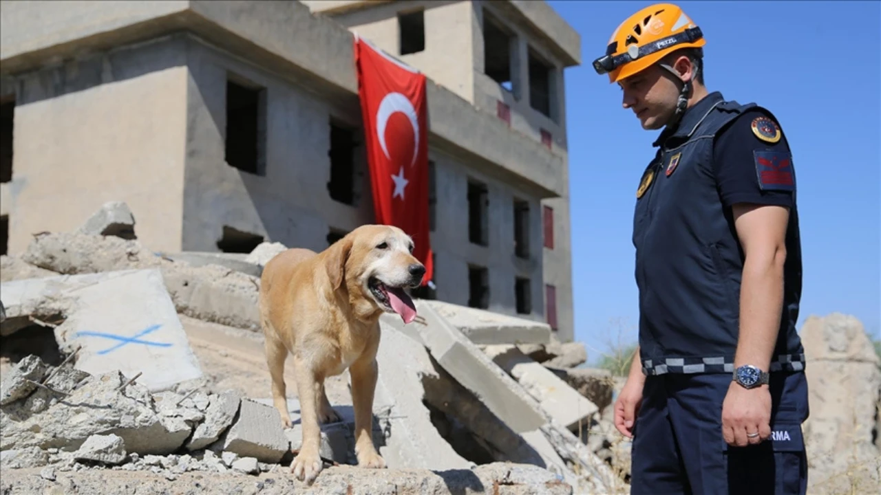 Diyarbakır’ın sadık görevlisi pusat, sayısız göreve katıldı-3