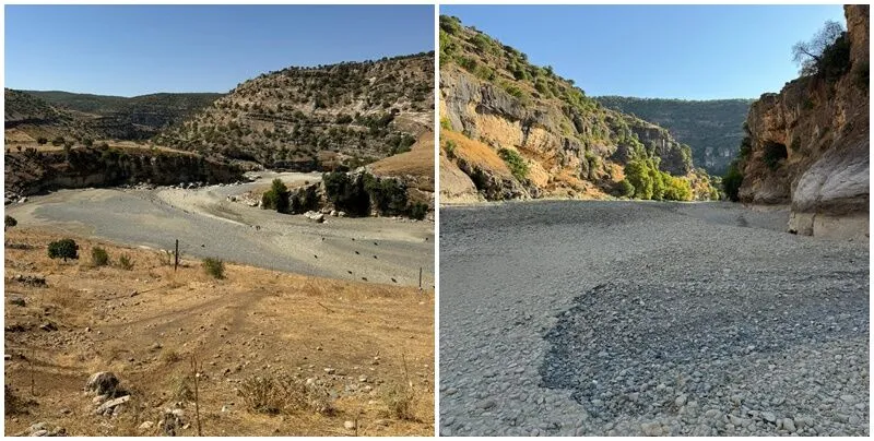 Kulp çayında HES tahribatı balıklar ölüyor-1
