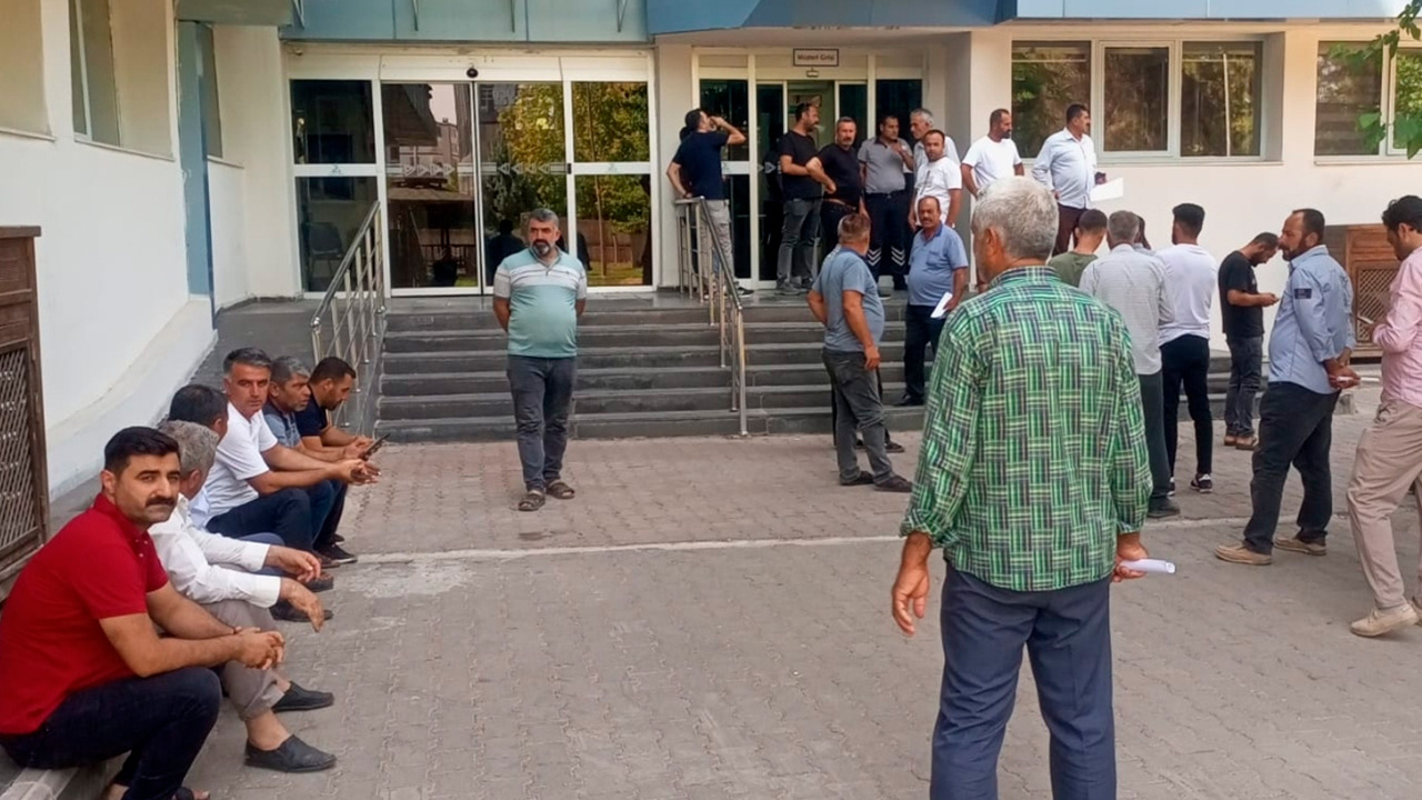 Çınar’da 6 bin dönüm pamuk susuzluktan kurudu 1