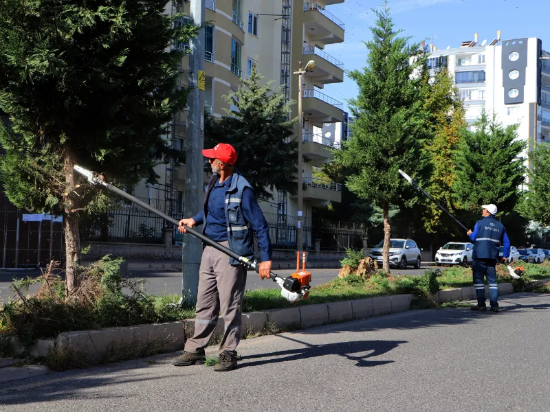 Diyarbakır’da Yeşil Alanlarda Bakım Çalışmaları Başladı2