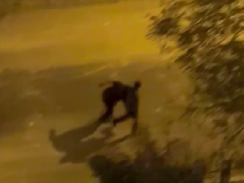 Diyarbakır’ın Kayapınar 21