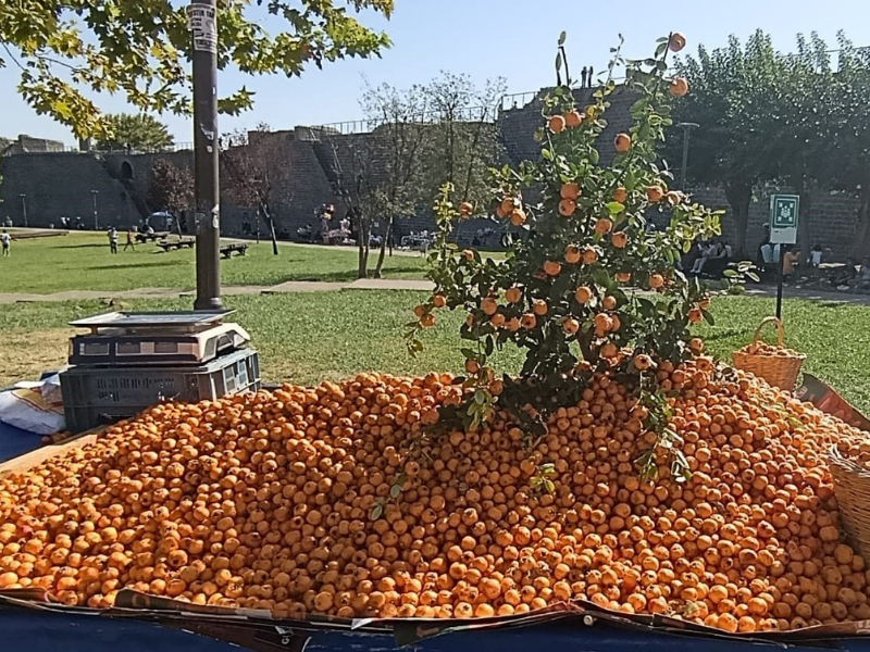 Sonbaharın Gelişiyle123