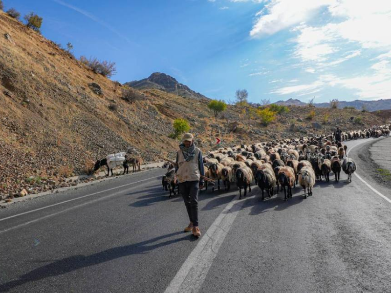 9 Virajlı Yolda Koçerler’in Diyarbakır’a Dönüş Serüveni4