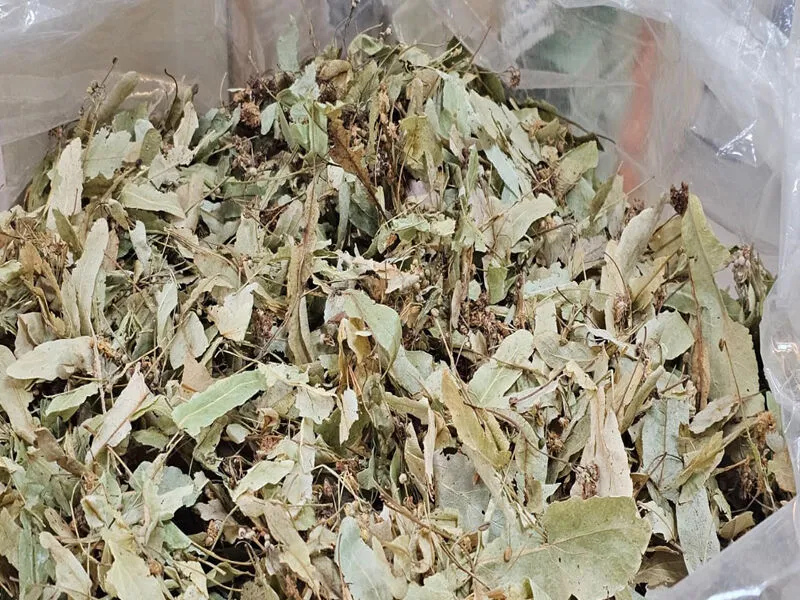 Adsız Tasarım (96)-2