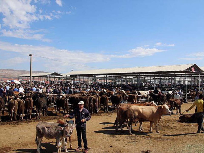 Aşılama Dönemi Geride Kaldı, Diyarbakır’da Pazarlar Kapılarını Açtı2