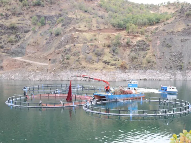 Çüngüş Ilçesinde, Atatürk Barajı