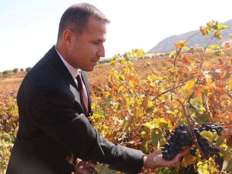 Diyarbakır’da Bağcılık Sektörüne Destek Başvurular Başladı2