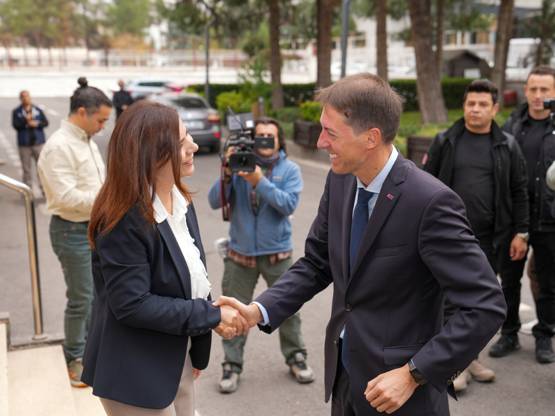 Diyarbakır’da Büyükşehir Belediyesi Eşbaşkanları Serra Bucak