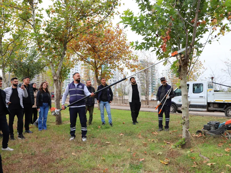Diyarbakır’da Gençlere Uygulamalı Bahçe Bakımı Eğitimi 3