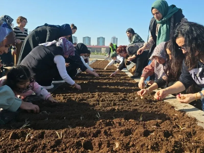 Diyarbakır’da Kadınlar Safran Ekimiyle Bereket Katıyor2