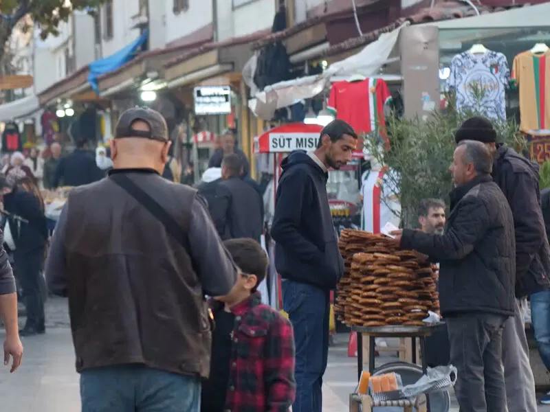Diyarbakır’da 'Sokak Köpeklerini Besleme Yasağı' Tartışma Konusu Oldu2