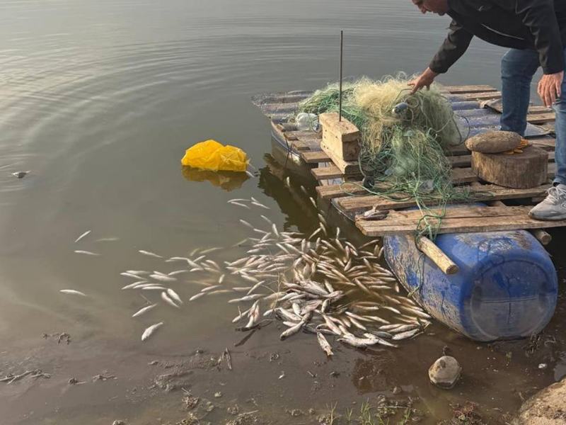 Diyarbakır’da Yasadışı Avlanma Ağlar İmha Edildi, Balıklar Serbest Bırakıldı2