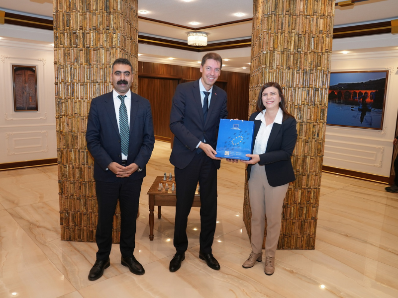 Görüşmeye Ayrıca Dbb Meclisi Eşsözcüsü Demet Ceylan Ve Genel Sekreter Emrullah Gördük