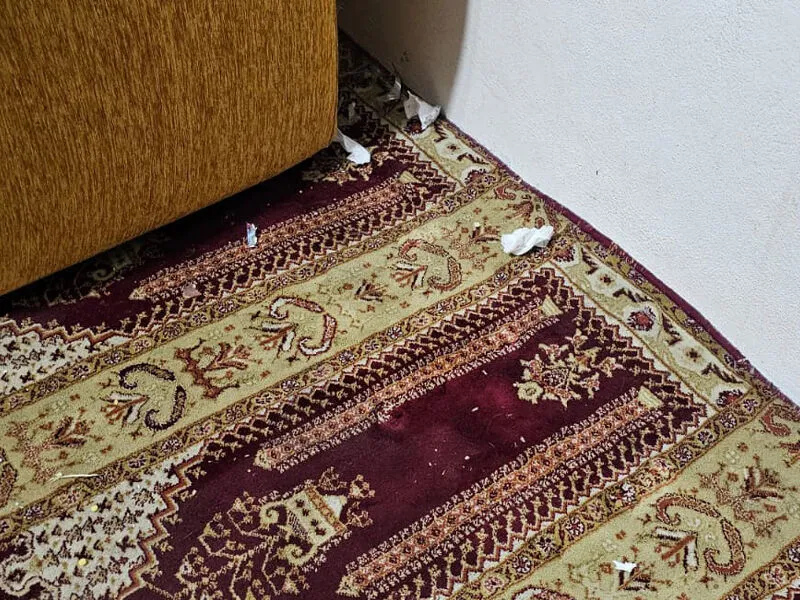 “Namaz Kılmadan Geri Dönüyoruz”