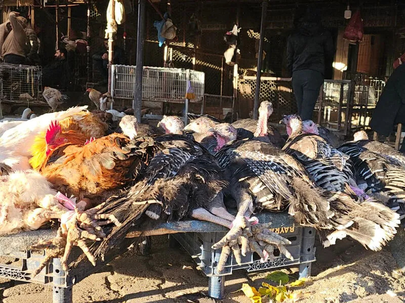 Artan Fiyatlar Alım Gücünü Zorluyor