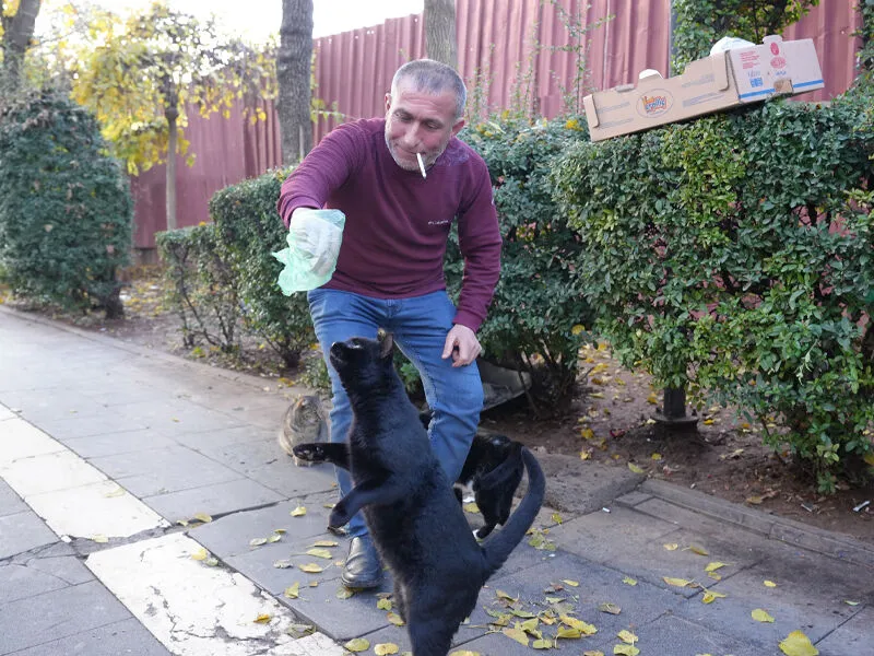 Diyarbakır’da 30 Yıldır Duraktaki Kedilere Sahip Çıkıyor2