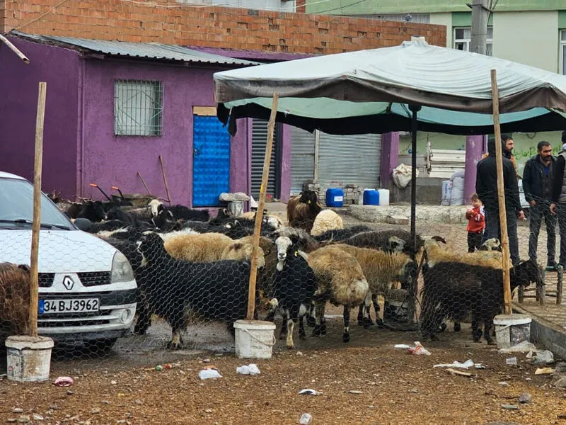 Diyarbakır’da Kurban Alanları Yeniden Hareketlenmeyebaşladı2