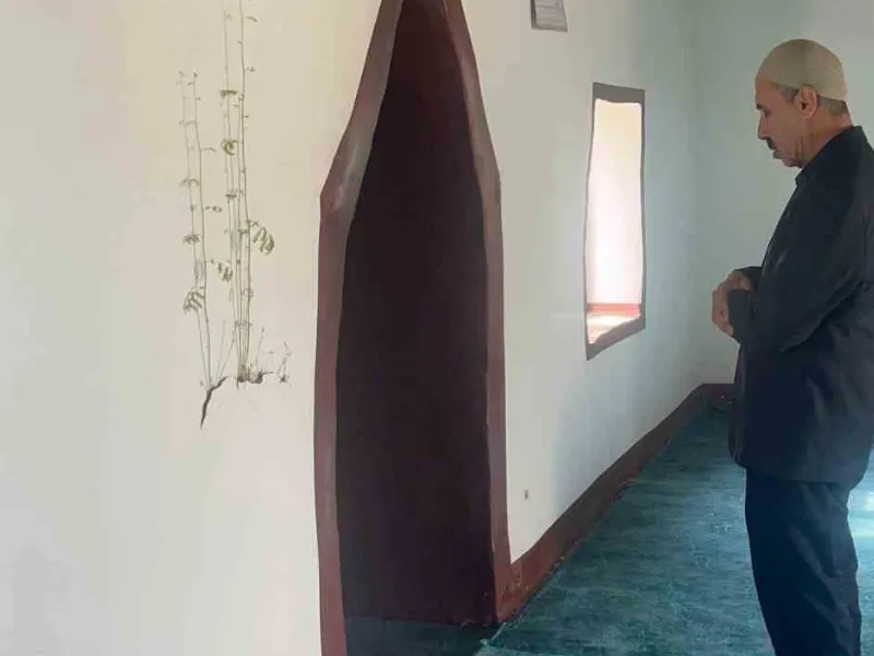 Diyarbakır’daki Camide Duvardan Bitki Çıktı2