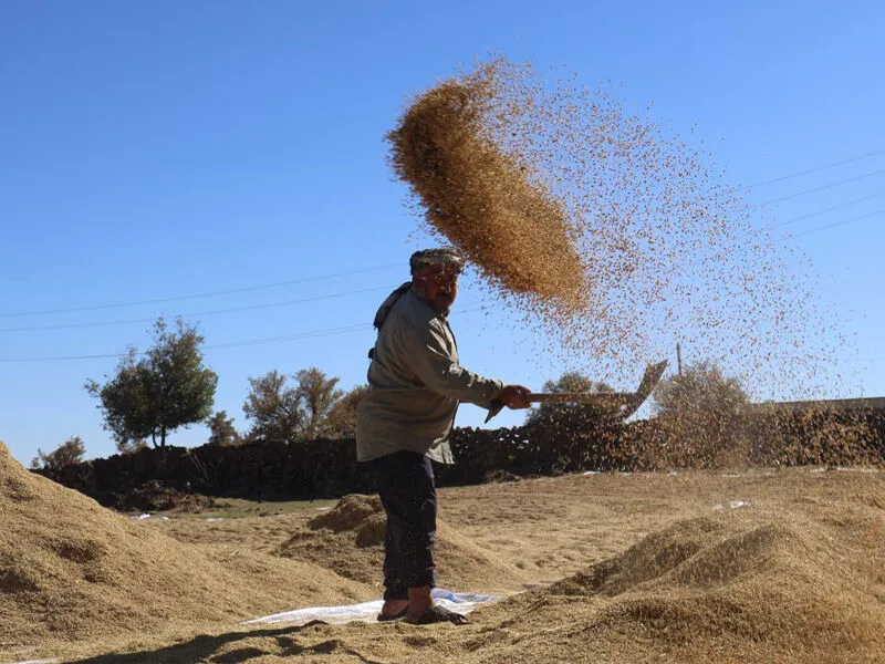 Düşük Glisemik İndeksiyle Öne Çıkıyor
