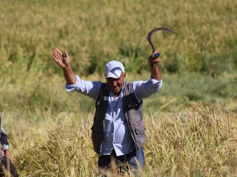 Gelenekselden Moderne Sofraların Vazgeçilmezi