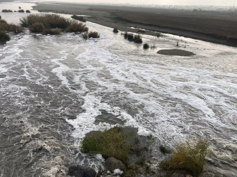 Köpüklenmeni̇n Nedeni̇ “Soapstock”