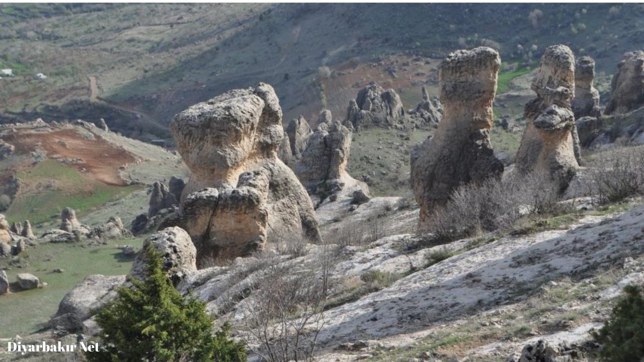 Diyarbakir Cermik Gelincik Dagi2