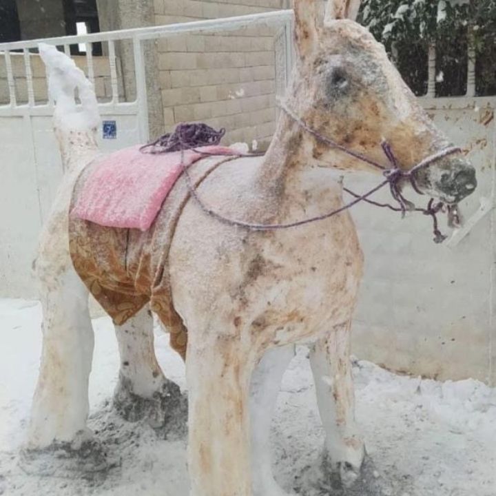 Diyarbakir En Guzel Kardan Adam2