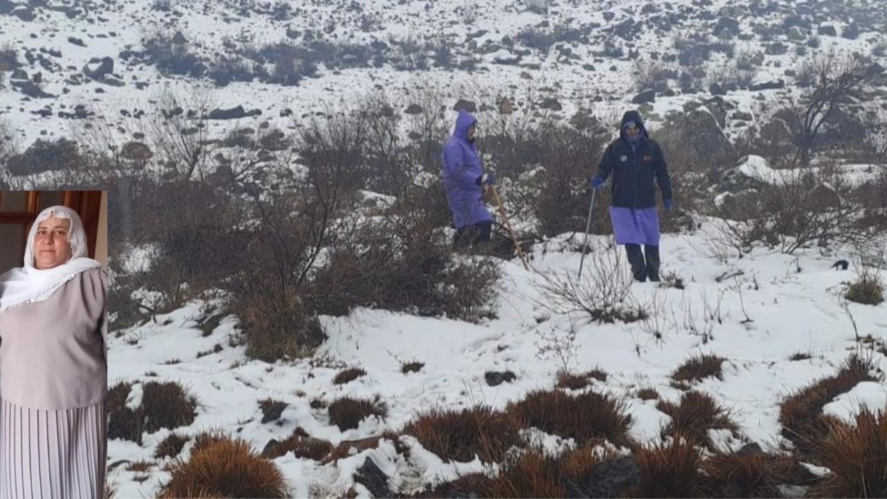 Diyarbakir Kayip Nimet Kilic Aile Perisan-1