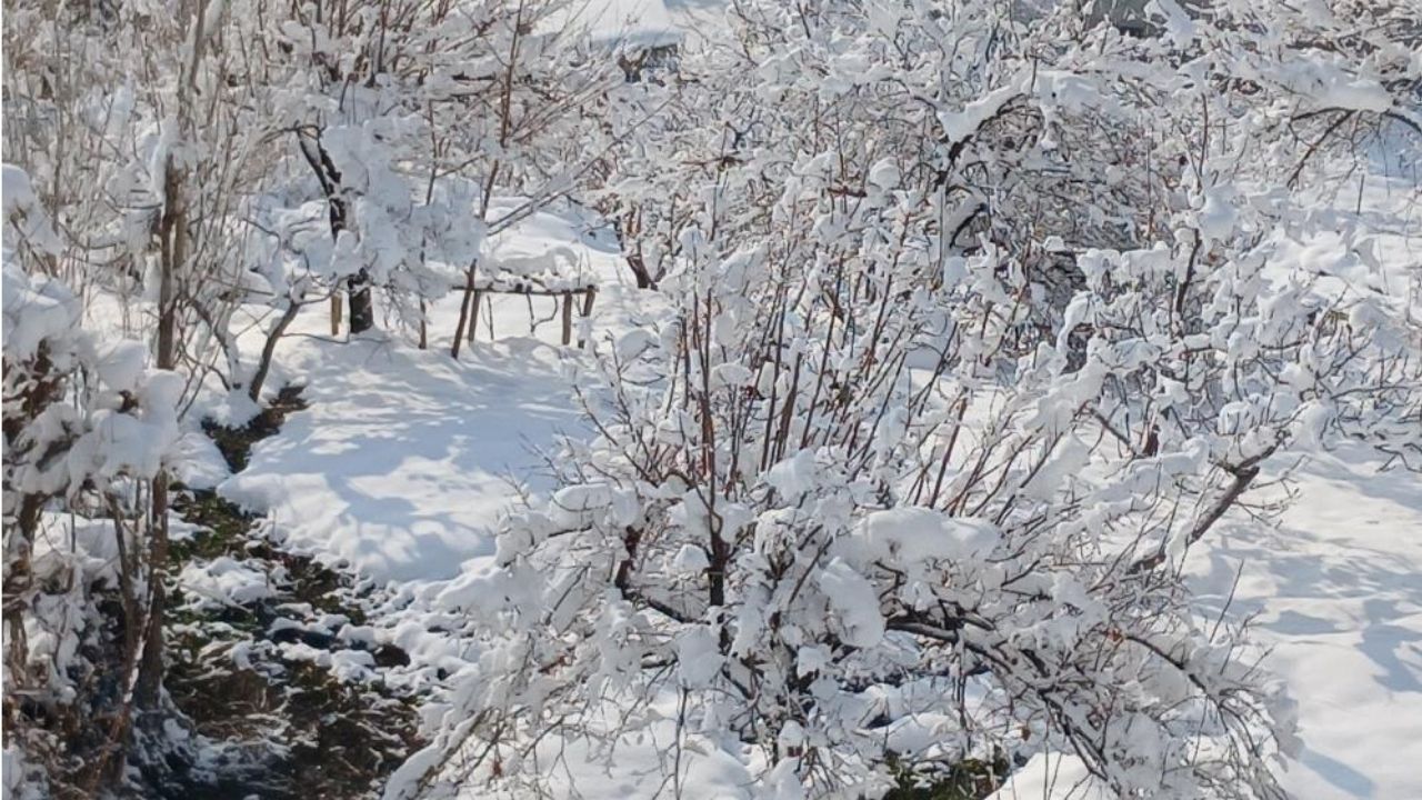 Diyarbakir Kulp Kar3