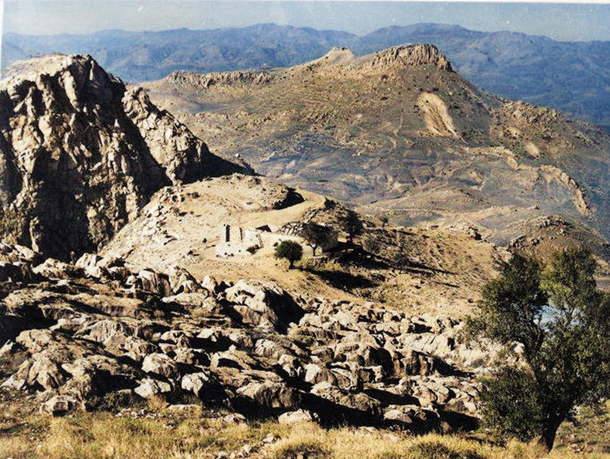 513164127 10171914801715008 8662206962511952039 N